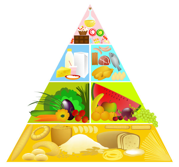 Piramida ishrane