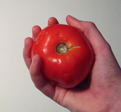 paradajz-u-decjoj-ishrani