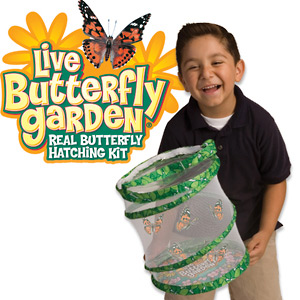 Basta zivih leptira - edukativna igračka