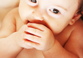 Nekoliko osnovnih pravila za hranjenje bebe
